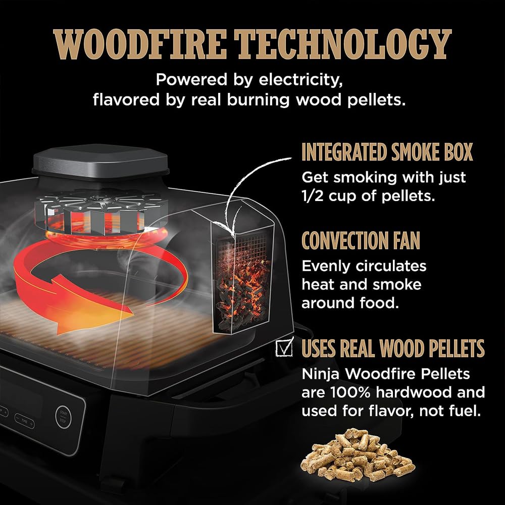 Ninja Woodfire Grill Smoker Fryer