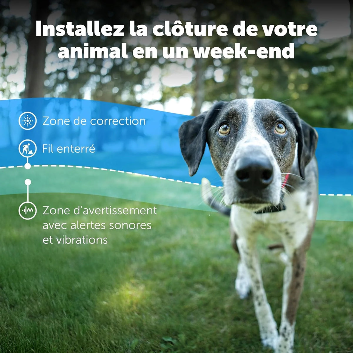 Système de clôture enterrée adapté aux chiens têtus, avec correction statique haute intensité