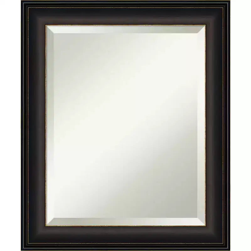 20" x 24" Trio Framed Wall Mirror Oil Rubbed Bronze - Amanti Art