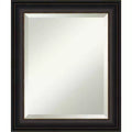 20" x 24" Trio Framed Wall Mirror Oil Rubbed Bronze - Amanti Art