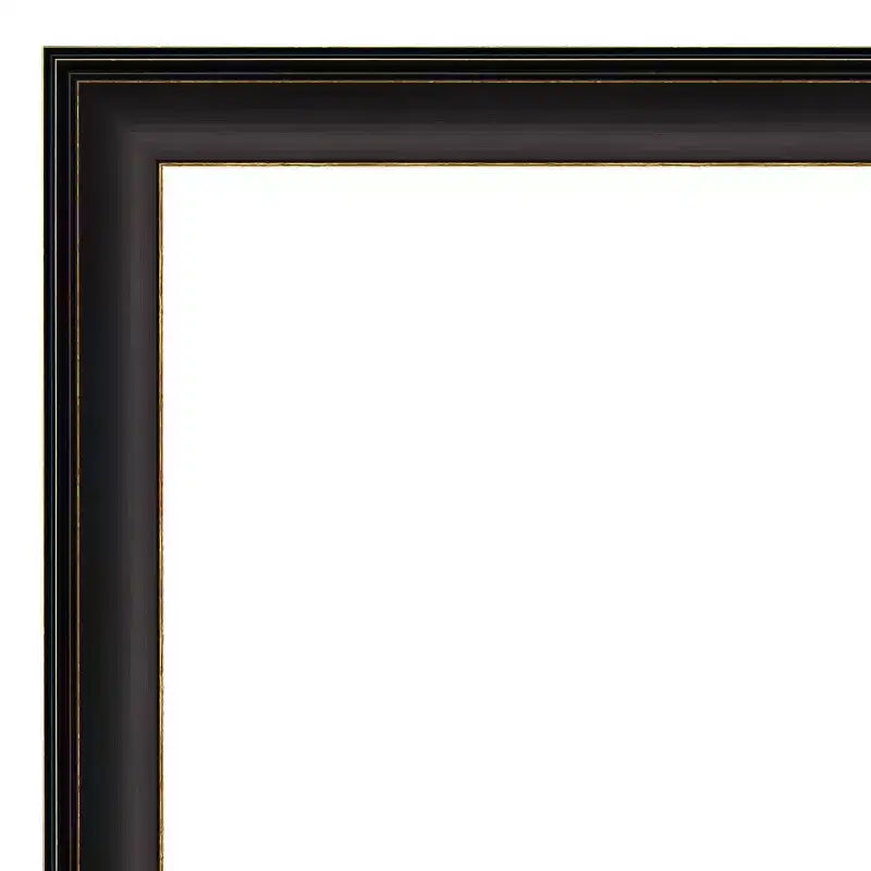 20" x 24" Trio Framed Wall Mirror Oil Rubbed Bronze - Amanti Art