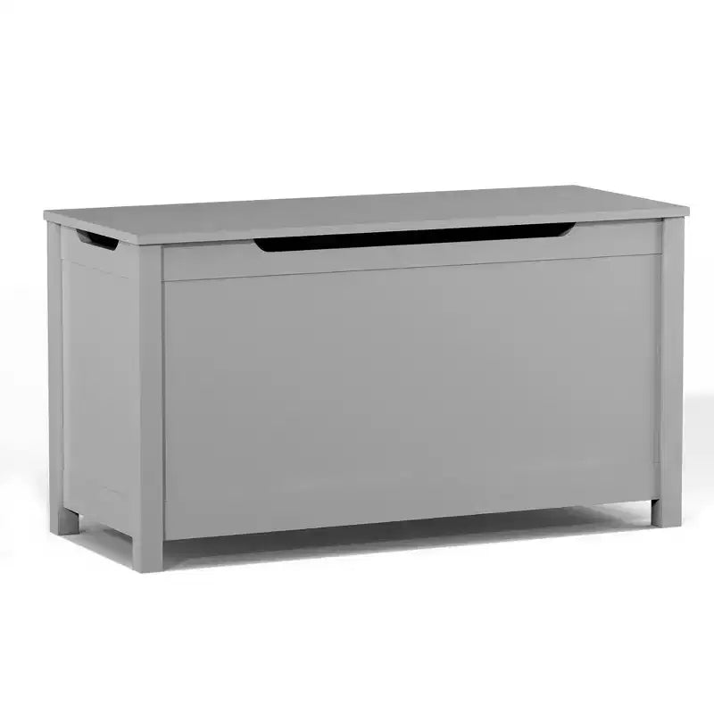 Whisen Kids Toy Box Storage, Utility Storage Cabinets with Safety Hinged Lid for Ages 2+, Quick Assembly
