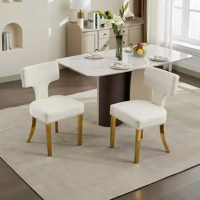 TUYOHW Farmhouse Dining Chairs Set of 2,Mid-Century Modern Side Chairs Soft Linen Fabric with Steel Legs,Nailhead Trim for Home Decor