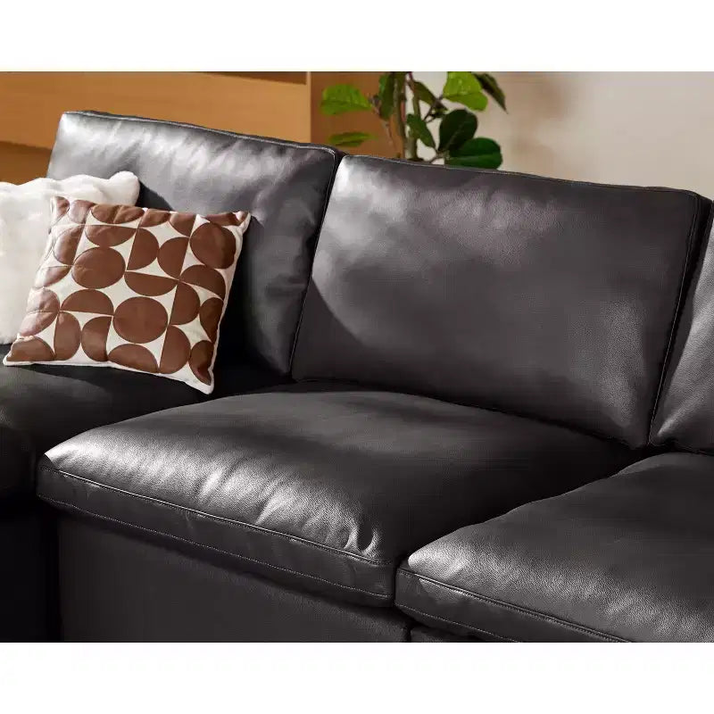 Dyonery Oversized Cloud Modular Sectional Sofa for Living Room,Comfy Couch Down-Filled Wide Deep Seat Couch,Solid Wood Frame,Tool Free Assembly
