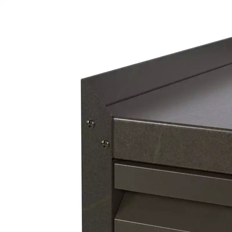 AOBABO Lockable Steel File Storage Organizer Cabinet with Adjustable Shelves and Wheels for Home, School, Office, and Garage Organization, Black