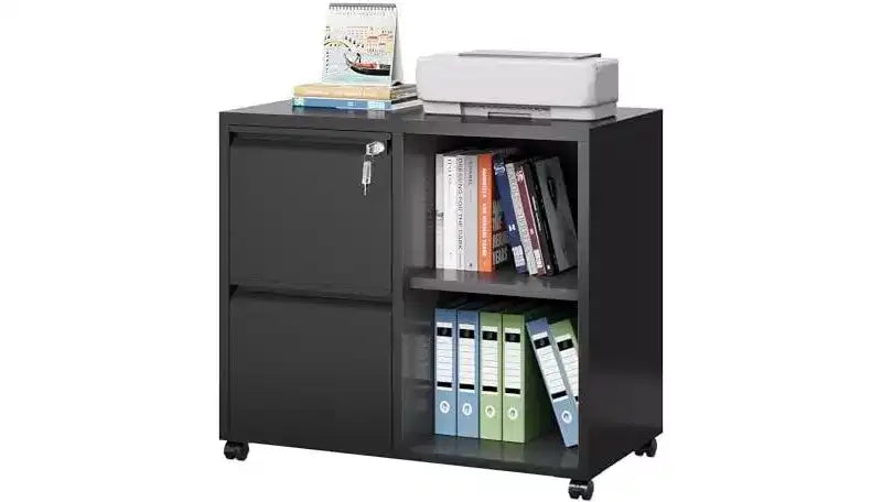 DEXYLLO Metal Lateral File Cabinet with Lock, 2-Drawer Rolling Printer Stand with Shelf, Mobile Storage Cabinet for Home Office