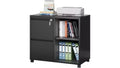 DEXYLLO Metal Lateral File Cabinet with Lock, 2-Drawer Rolling Printer Stand with Shelf, Mobile Storage Cabinet for Home Office