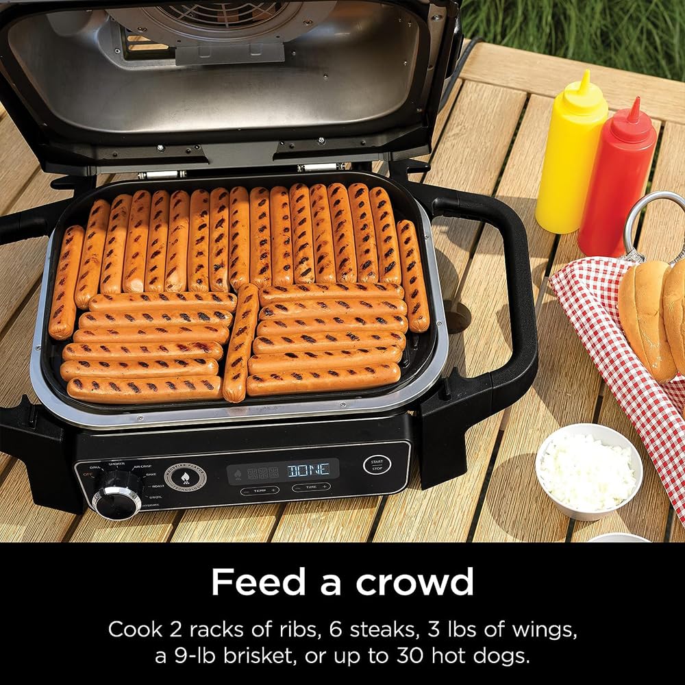 Ninja Woodfire Grill Smoker Fryer