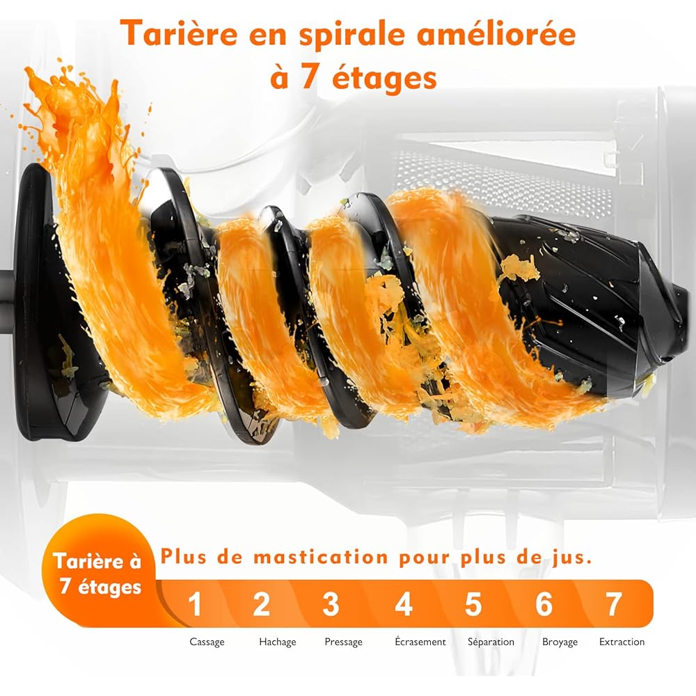 AMZCHEF Extracteur Jus - Extracteur de Jus de Fruits et Légumes - Presses-agrumes à Froid sans BPA avec 2 Tasses et Brosse - Fonction de Mastication Inversée pour Éviter les Blocages - Argent : Cuisine et Maison