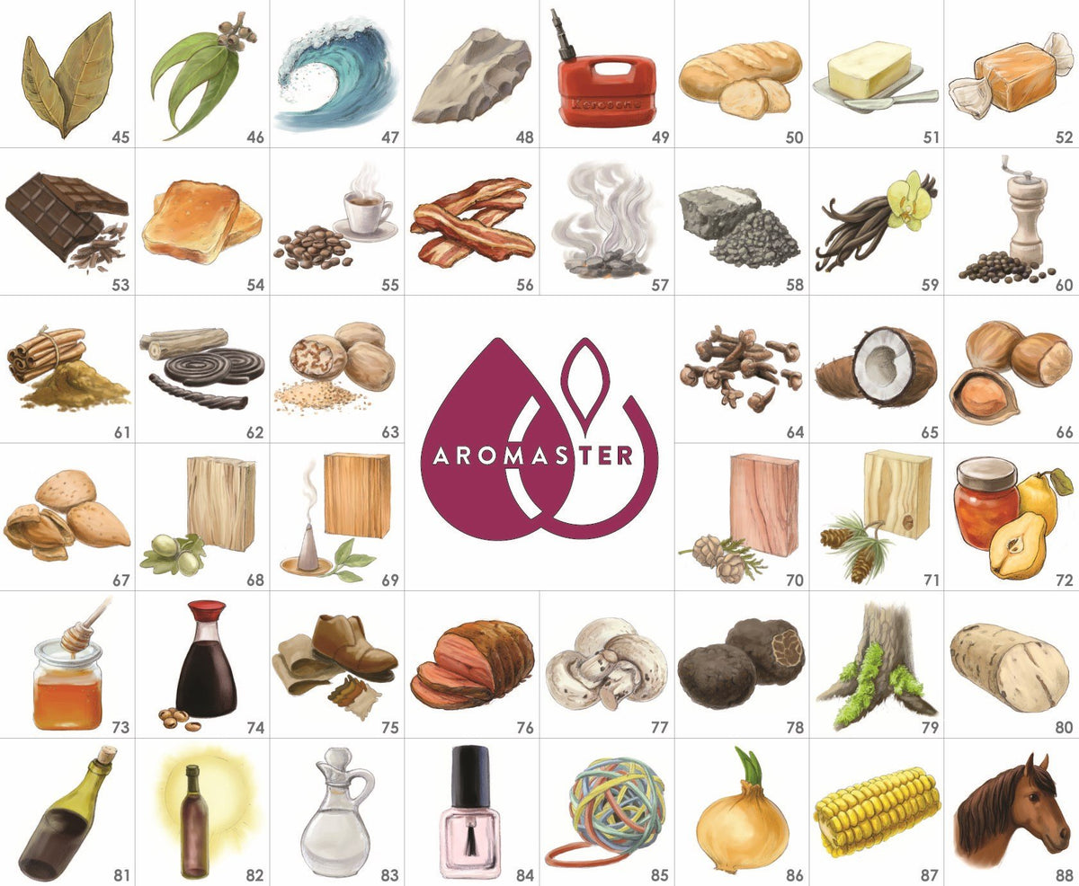 Master Wine Aroma Tasting Kit