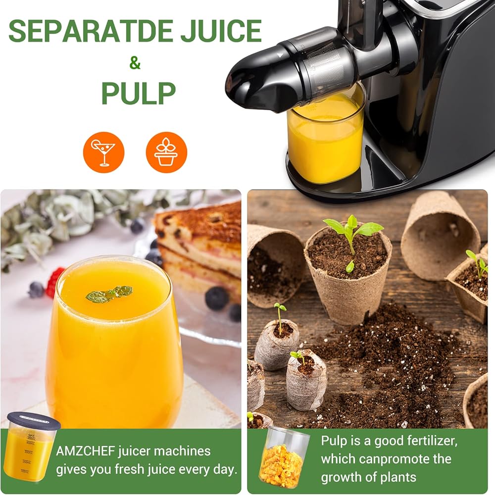 AMZCHEF Extracteur de Jus avec Double Vitesse Modes (Soft et Hard) - Extracteur de Jus de Fruits et Légumes - Juicer Machine avec Bouteille à jus Portable et 2 Tasses - Noir : Cuisine et Maison