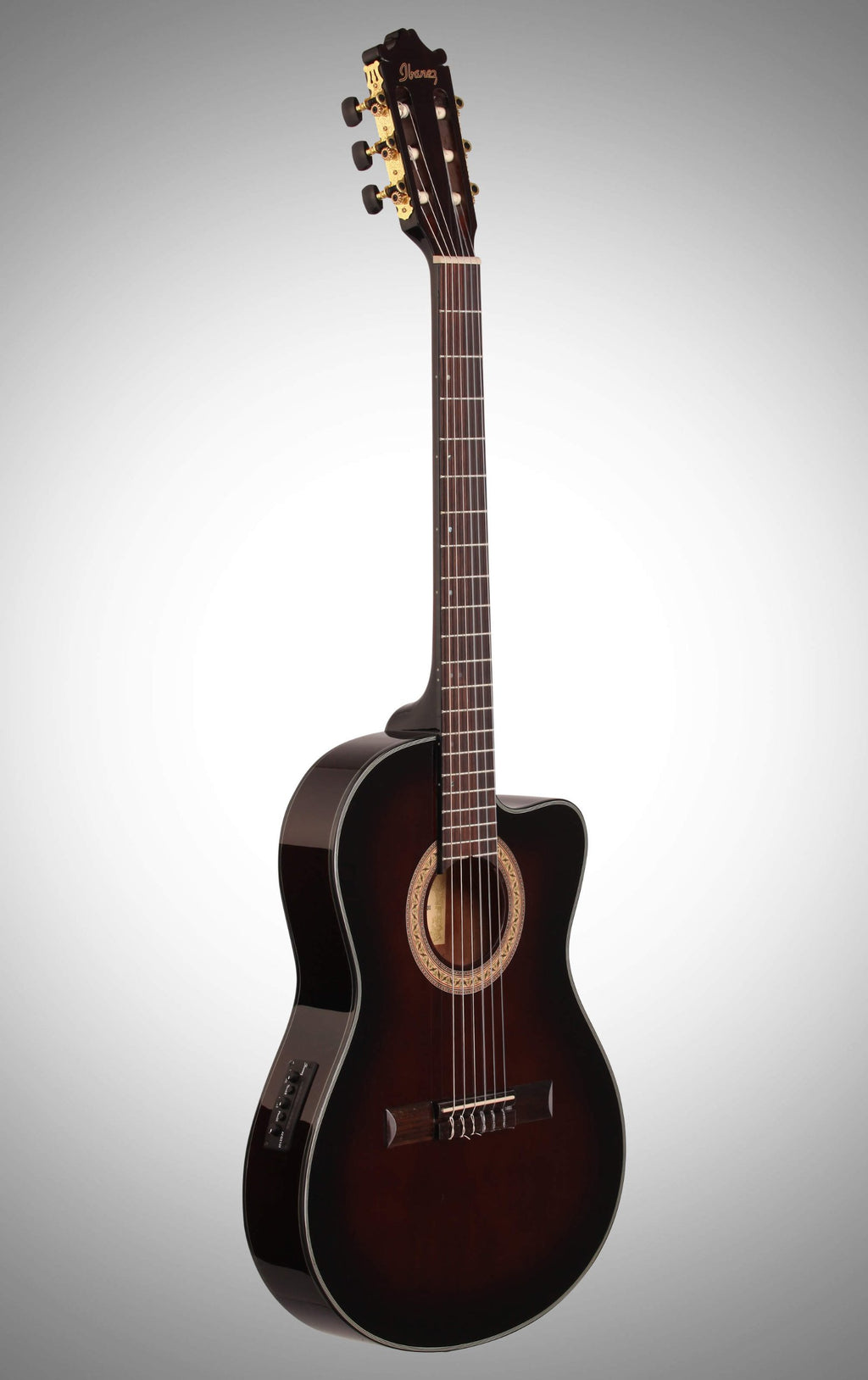 Ibanez GA35TCEDVS Acoustic Electric Guitar
