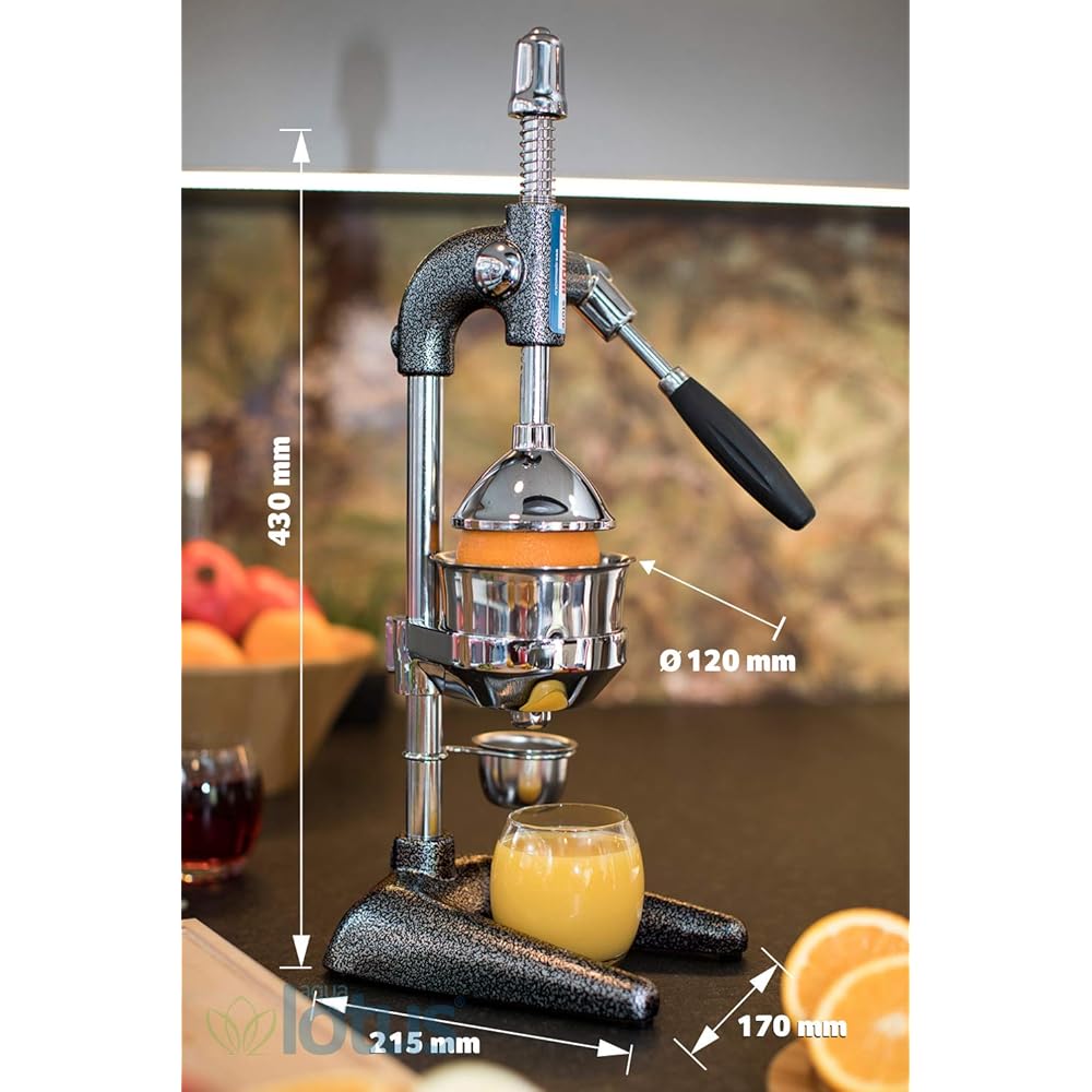 Presse-agrumes manuel de qualité commerciale, presse-agrumes, orange, citron, grenade, noir : Cuisine et Maison