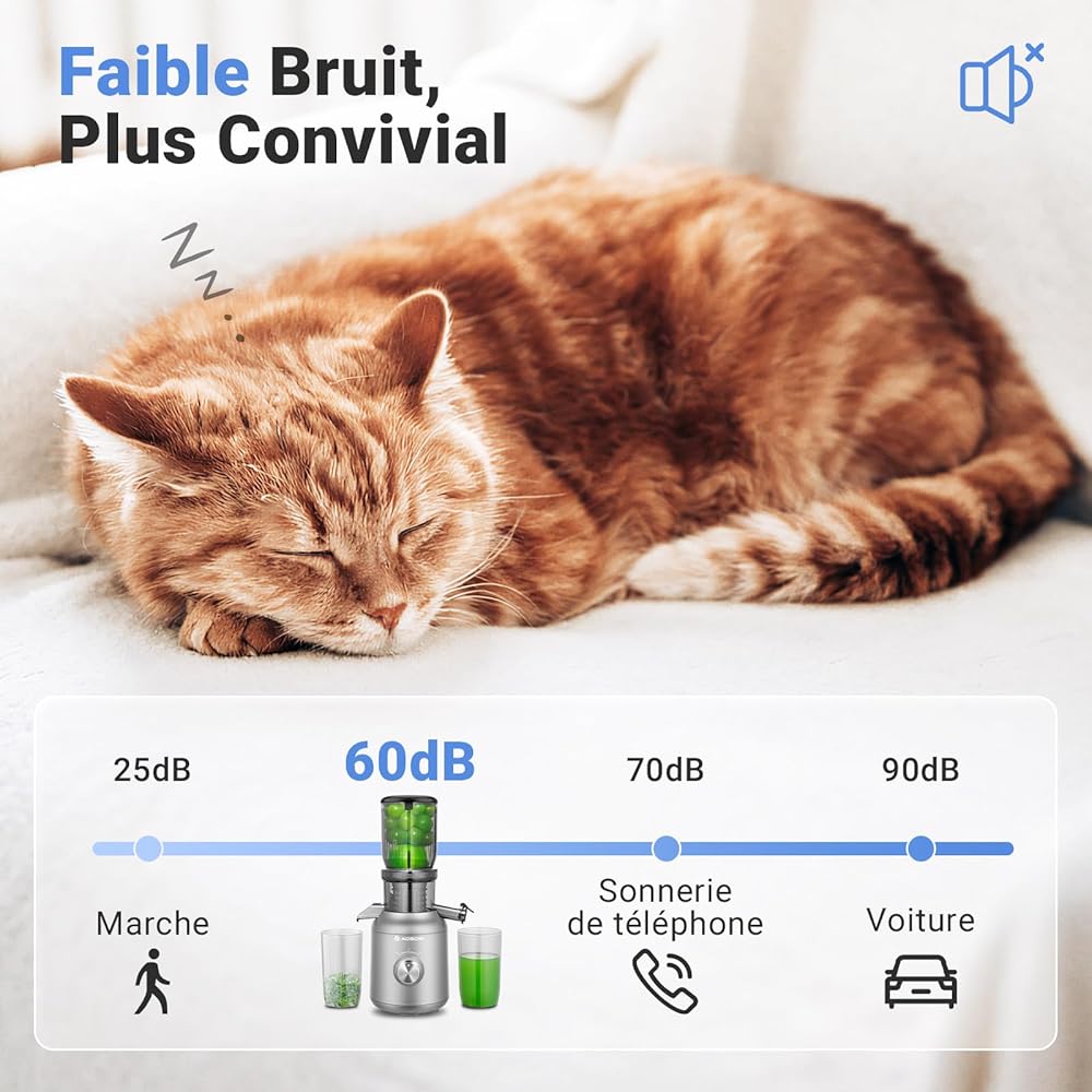 Extracteur de jus AOBOSI 250W-Extracteur de jus de fruits et légumes avec un diamètre de 103MM et 2 filtres sans métal-1.2L Extracteur jus avec 2 brevets et 40 minutes de protection thermique, Gris. : Cuisine et Maison