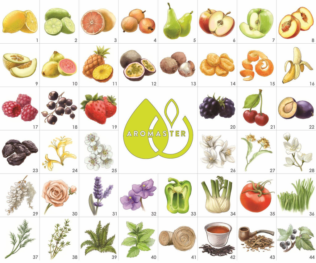 Master Wine Aroma Tasting Kit