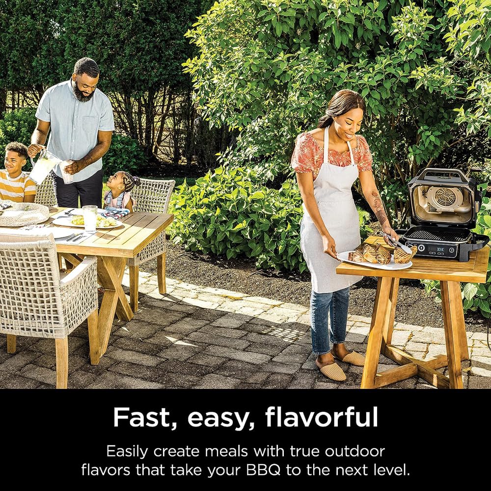 Ninja Woodfire Grill Smoker Fryer