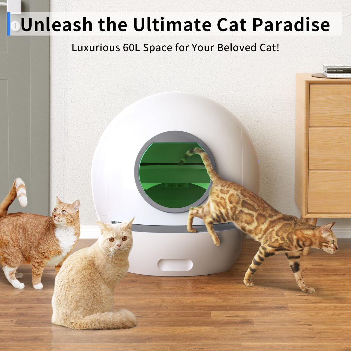 Self Cleaning Litter Box 2Packs