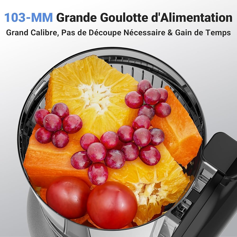 Extracteur de jus AOBOSI 250W-Extracteur de jus de fruits et légumes avec un diamètre de 103MM et 2 filtres sans métal-1.2L Extracteur jus avec 2 brevets et 40 minutes de protection thermique, Gris. : Cuisine et Maison