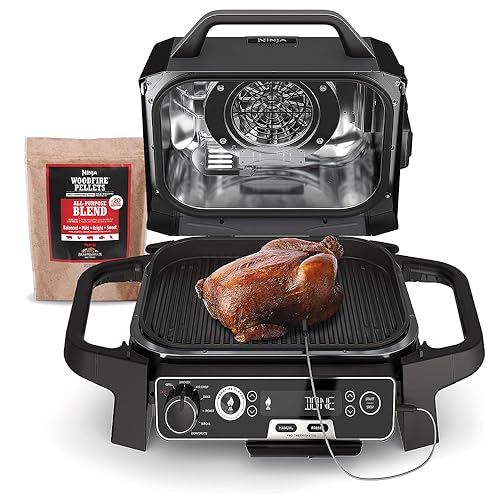 Ninja Woodfire Grill Smoker Fryer