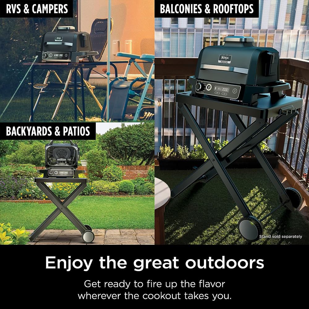 Ninja Woodfire Grill Smoker Fryer