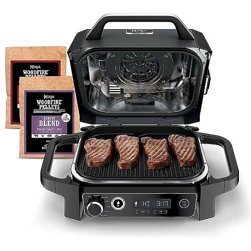Ninja Woodfire Grill Smoker Fryer